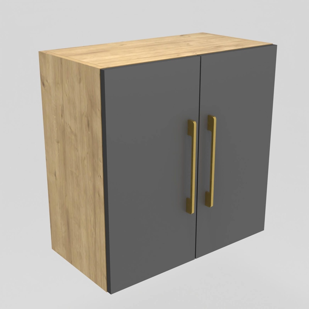 Modulo LDT 50x50x25 + entrepaño + 2 puertas roble rustico/gris grafito